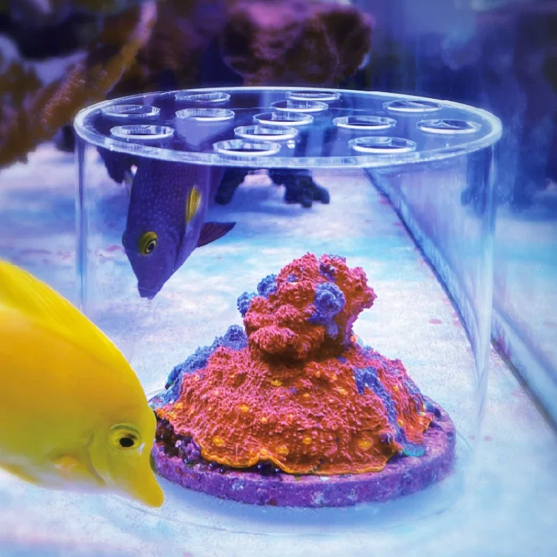 Marine Aquarium Glue - Vastocean Aquarium Acryl-Korallen-Futterhaube, flüssiger Dünger, Hinzufügen