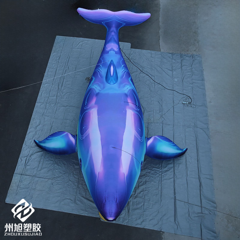 Aufblasbarer Blauwal, als deko – Marine Aquarium Used Bewertung und Preis