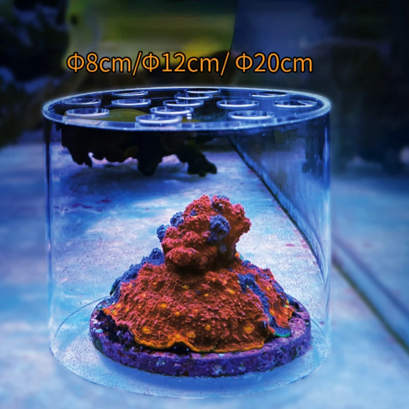 Vastocean Aquarium Acryl-Koral – Marine Aquarium Glue Bewertung und Preis